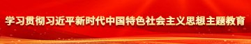 大鸡巴使劲插视频学习贯彻习近平新时代中国特色社会主义思想主题教育