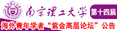 插逼图南京理工大学第十四届海外青年学者紫金论坛诚邀海内外英才！